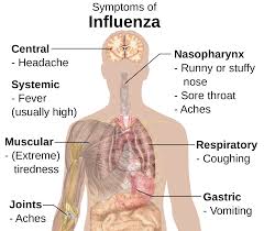 Flu symptoms